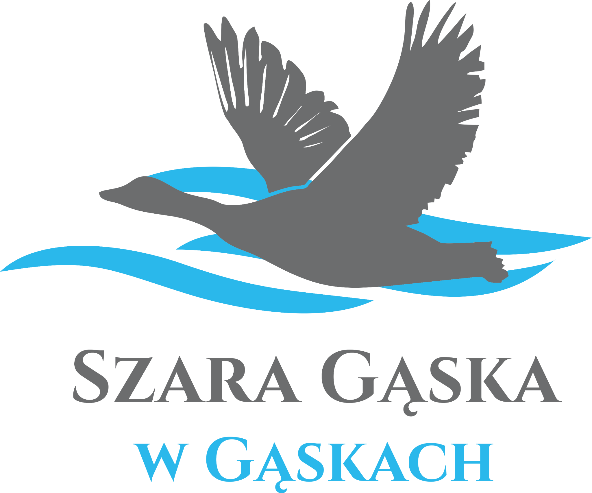 Szara Gąska w Gąskach